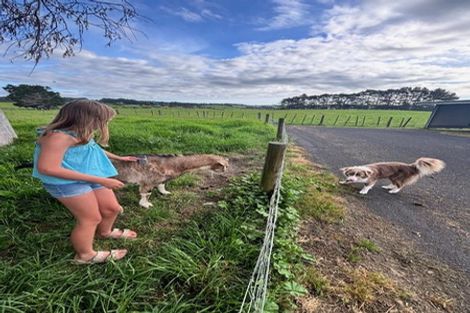 Photo of property in 135a Reid Road, Glenbrook, Waiuku, 2681