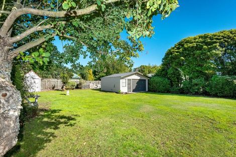 Photo of property in 19 Ocean View Place, Southbridge, Leeston, 7683