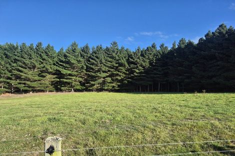 Photo of property in 4894 Hampden-palmerston Road, Shag Point, Palmerston, 9482