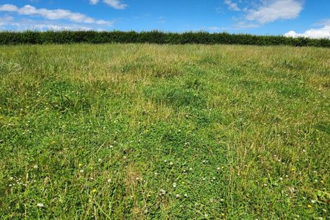 Photo of property in 369 Tarata Road, Norfolk, 4387