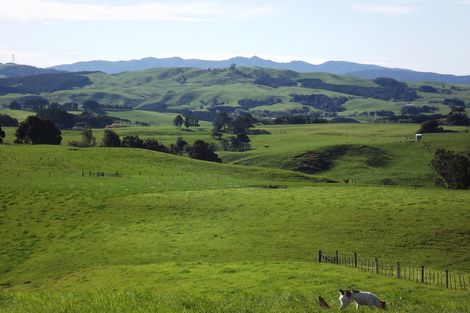 Photo of property in 669b Te Hutewai Road, Raglan, 3296