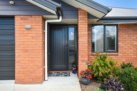 Photo of property in 14 Edward Street, Grandview Heights, Hamilton, 3200