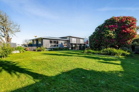 Photo of property in 17 Dives Avenue, Hawera, 4610