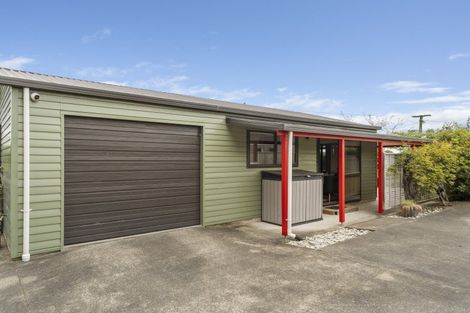 Photo of property in 49 Tame Porati Street, Manakau, Levin, 5573