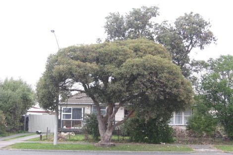 Photo of property in 45 Williams Street, Marewa, Napier, 4110