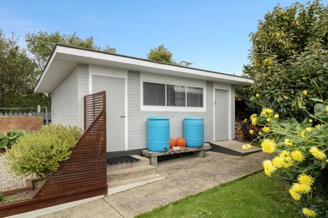 Photo of property in 3 Pratt Street, Waikouaiti, 9510