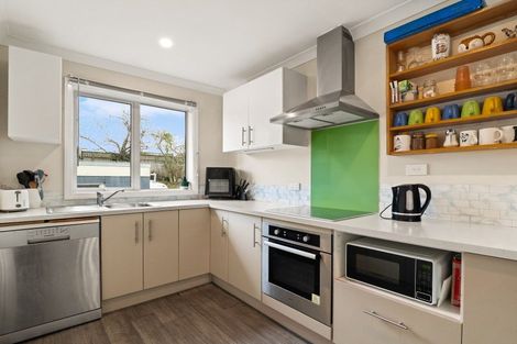 Photo of property in 20 Binnie Street, Abbotsford, Dunedin, 9018