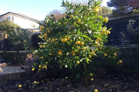 Photo of property in 50 Montreal Road, Washington Valley, Nelson, 7010