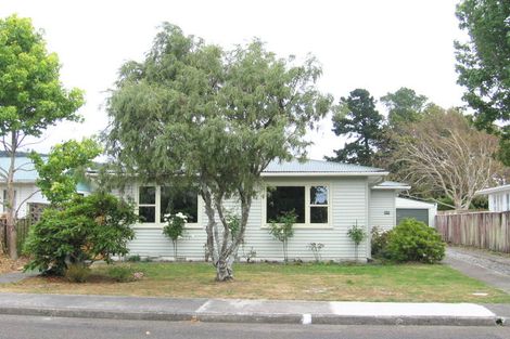 Photo of property in 29 Perry Street, Heretaunga, Upper Hutt, 5018