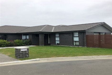 Photo of property in 20 Asheridge Place, Wigram, Christchurch, 8025