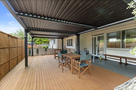 Photo of property in 113 Buckland Street, Putaruru, 3411