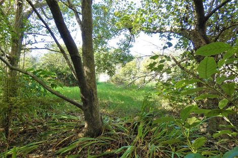 Photo of property in 43-44 Dole Street, Ngakawau, 7824