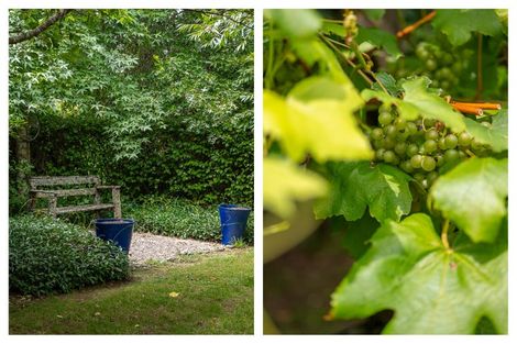 Photo of property in 116 Tuapiro Road, Tahawai, Katikati, 3170