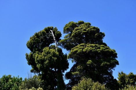 Photo of property in 37 South Terrace Road, Karamea, 7893