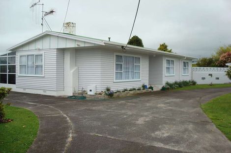 Photo of property in 14a Baden Street, Levin, 5510