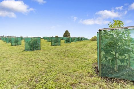Photo of property in 196 Roydon Downs Road, Paengaroa, Te Puke, 3189