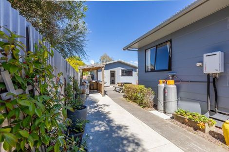 Photo of property in 55a Tavistock Road, Waipukurau, 4200