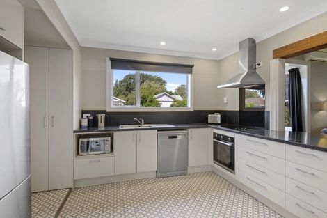 Photo of property in 88 Domain Terrace, Spreydon, Christchurch, 8024