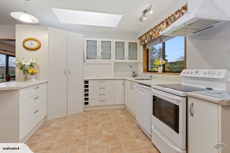 Photo of property in 556 Steffens Road, Starvation Hill, Oxford, 7495