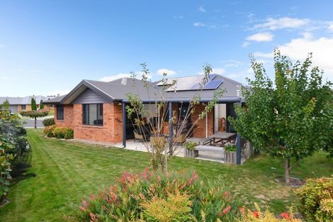 Photo of property in 14 Edward Street, Grandview Heights, Hamilton, 3200