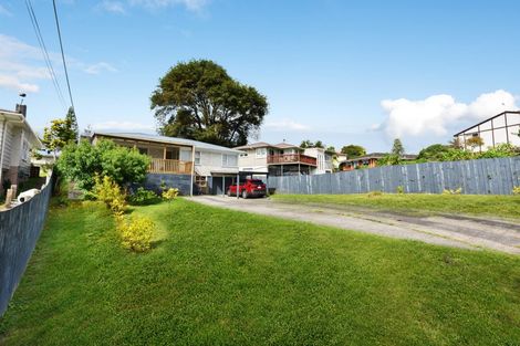 Photo of property in 44 Kohekohe Street, New Lynn, Auckland, 0600