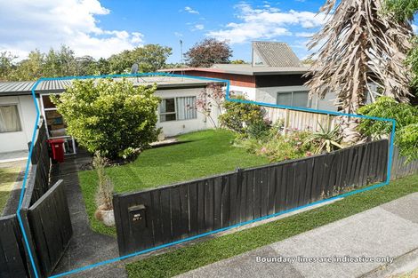 Photo of property in 3/87 Nikau Street, New Lynn, Auckland, 0600