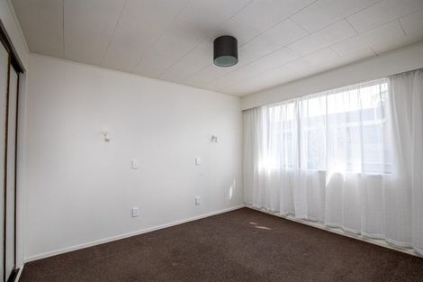 Photo of property in 88 Ventry Street, Alexandra, 9320