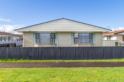 Photo of property in 102 Winchester Street, Levin, 5510