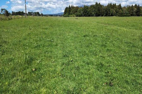 Photo of property in 5 Robson Court, Gate Pa, 3112