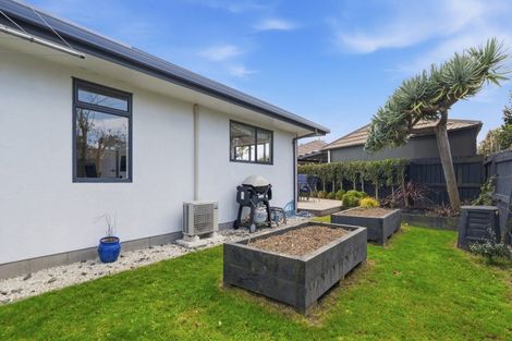 Photo of property in 19 Lantana Place, Mount Maunganui, 3116