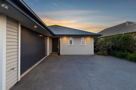 Photo of property in 223 Bower Avenue, North New Brighton, Christchurch, 8083