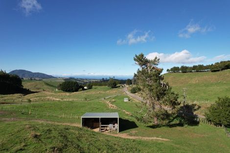 Photo of property in 61 Oak Drive, Wairakei, Taupo, 3384