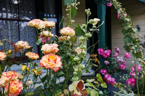 Photo of property in 24 Lytton Street, Feilding, 4702