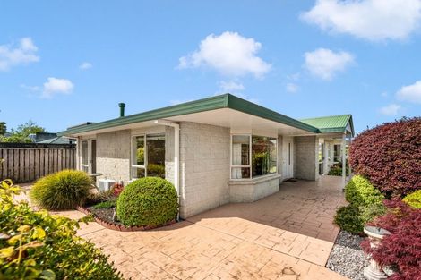 Photo of property in 24a Cole Street, Masterton, 5810