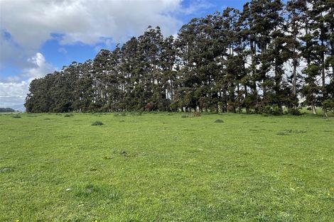 Photo of property in 106 Kukutauaki Road, Koputaroa, Shannon, 5575