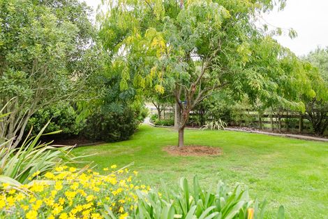 Photo of property in 478 Te Kopi Road, Te Whiti, Masterton, 5884