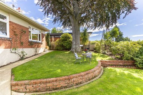 Photo of property in 21 Leven Street, Roslyn, Dunedin, 9010