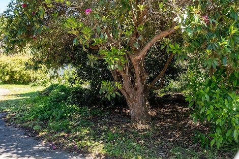 Photo of property in 15a Kent Street, Carterton, 5713