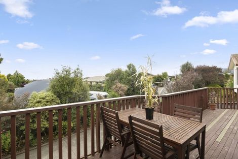 Photo of property in 118 Templemore Drive, Richmond, 7020