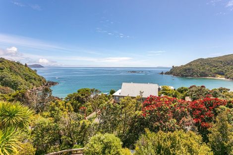 Photo of property in 24 Little Bay Drive, Waikawau, Coromandel, 3584