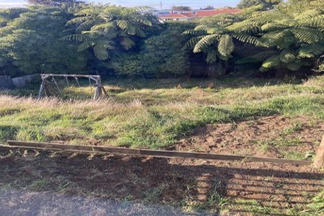 Photo of property in 43 Seyton Street, Stratford, 4332