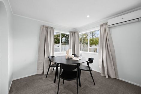 Photo of property in 49 Rimu Street, Maeroa, Hamilton, 3200