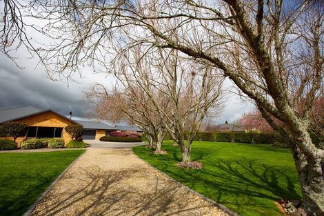 Photo of property in 91 Wells Place, Cambridge, 3493