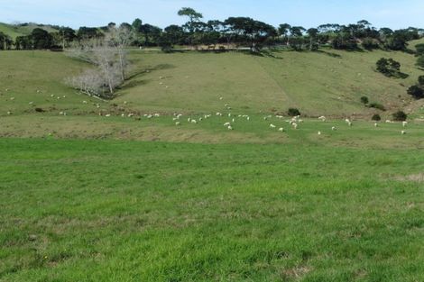 Photo of property in 344 Inland Road, Helensville, 0875