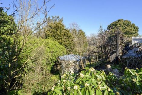 Photo of property in 561 Cambridge Road, Tauriko, Tauranga, 3110