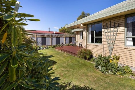 Photo of property in 31b Litchfield Street, Redwoodtown, Blenheim, 7201