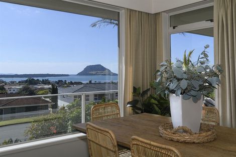 Photo of property in 10 Hazel Terrace, Otumoetai, Tauranga, 3110