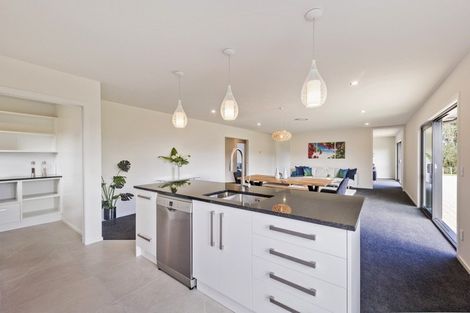 Photo of property in 142 Mount Biggs Road, Halcombe, Feilding, 4779