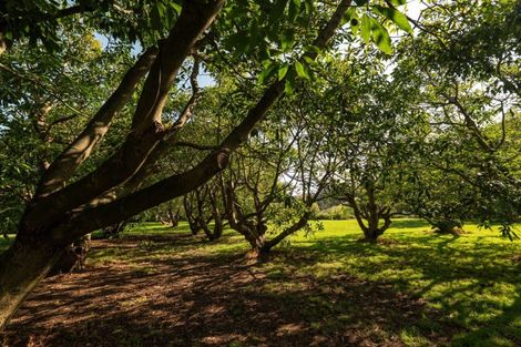 Photo of property in 10a Bridgman Lane, Tanners Point, Katikati, 3177