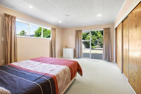 Photo of property in 29 Wymer Terrace, Chartwell, Hamilton, 3210